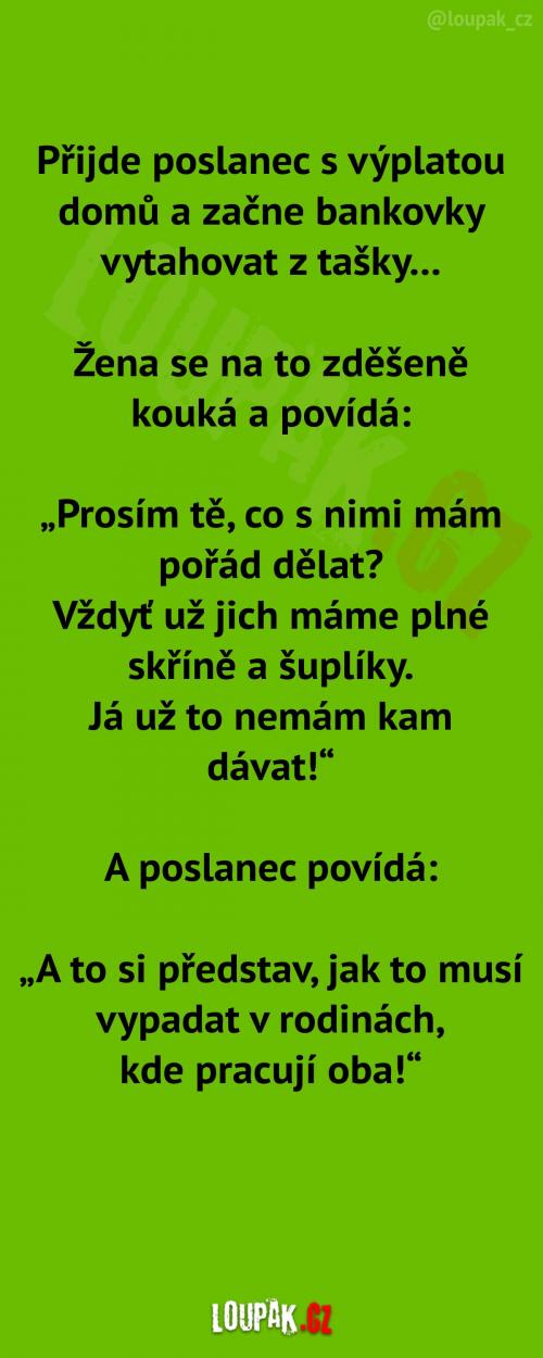  Poslanec a jeho výplata 