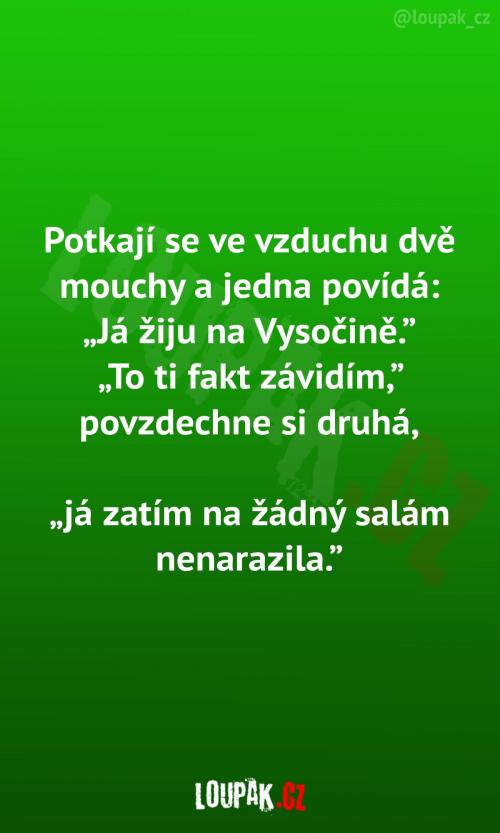  Dvě mouchy ve vzduchu 