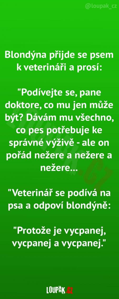 Proč pes nežere a nežere a nežere Proč pes nežere a nežere a nežere