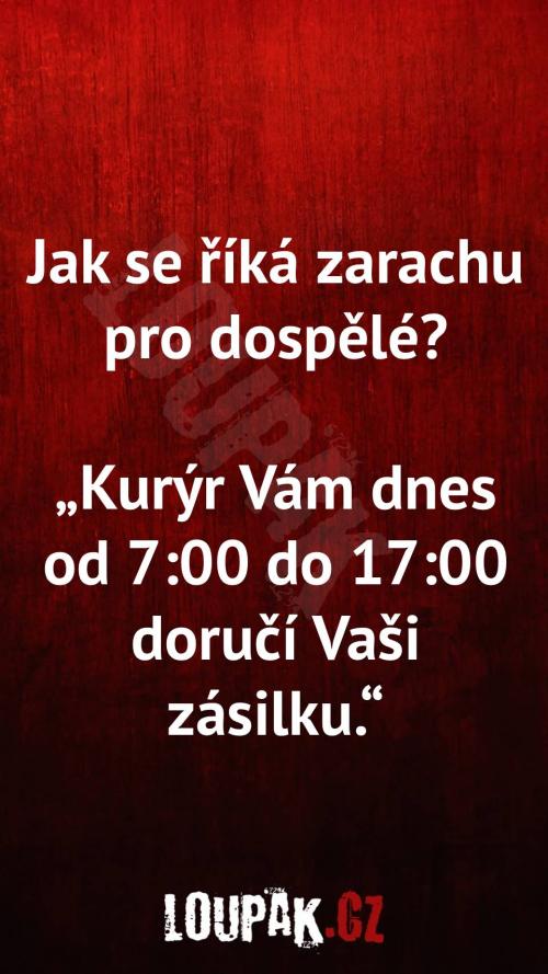 Jak se říká zarachu pro dospělé