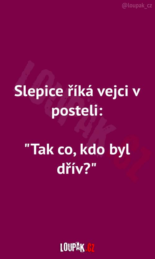  Slepice a vejce v posteli 