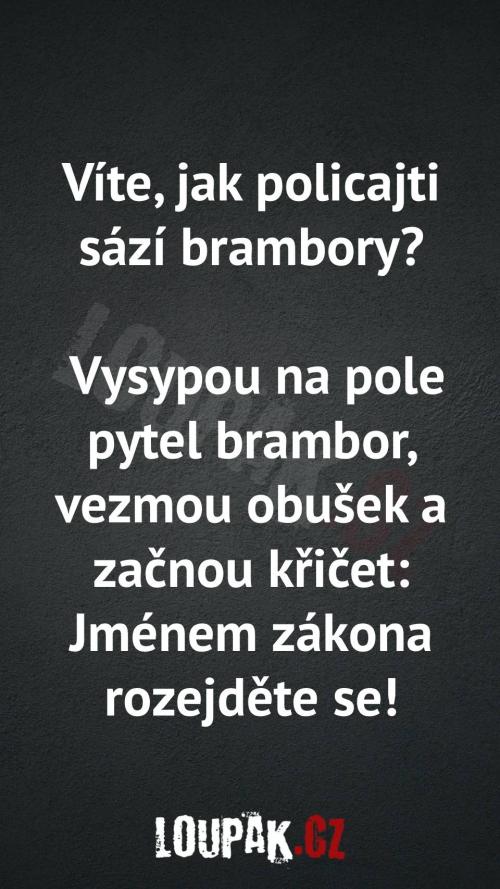  Jak policajti sází brambory 
