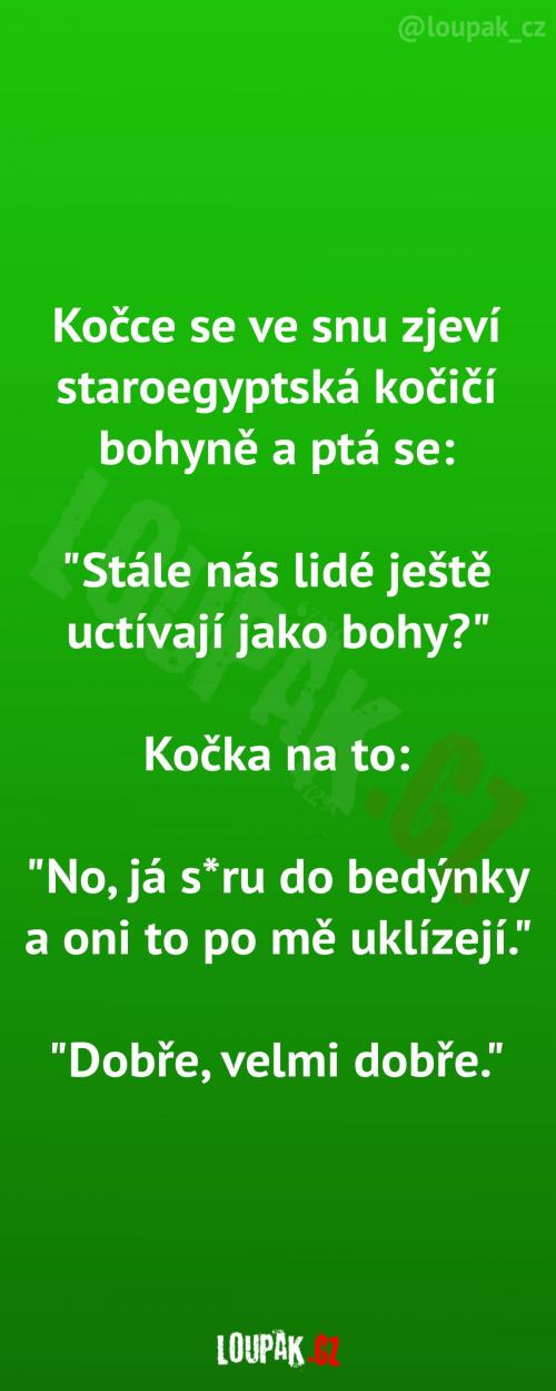  Kočky jsou stále uctívány 