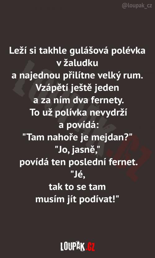  Zase ji nikdo nepozval... 