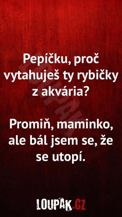  Proč vytahuješ ty rybičky z akvária 