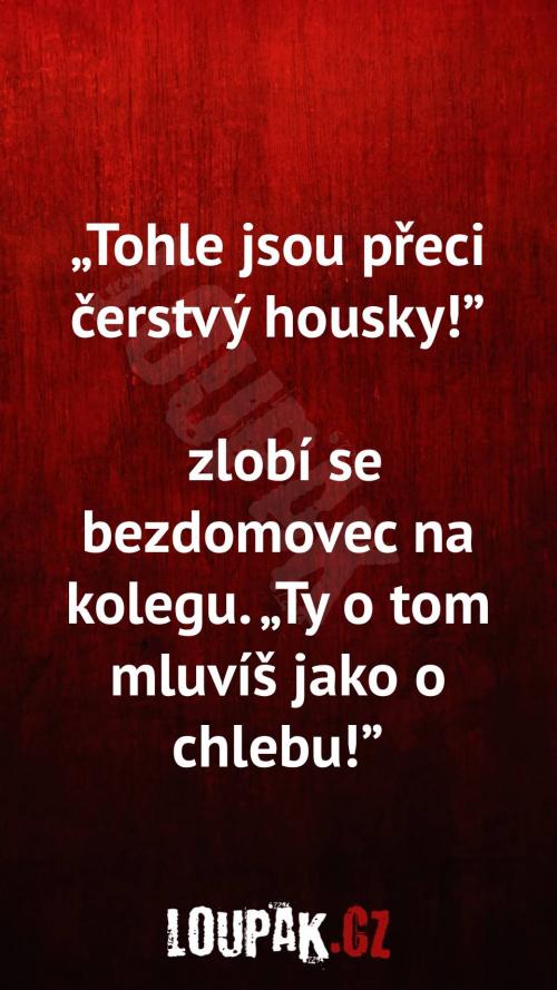  Proč tohle jsou čerstvý housky 