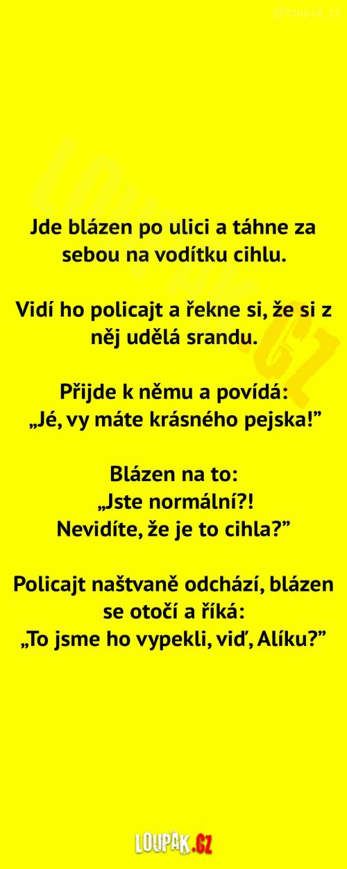 Když blázen venčí   