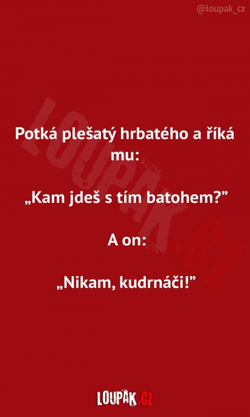 Plešatý a hrbatý    