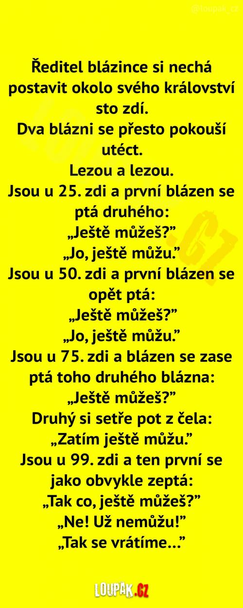 100 zdí v blázinci  
