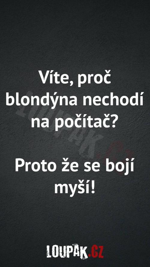 Proč blondýnka nechodí na počítač
