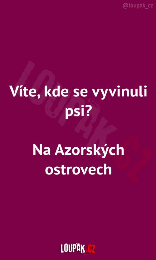 Kde se původně vyvinuli psi Kde se původně vyvinuli psi