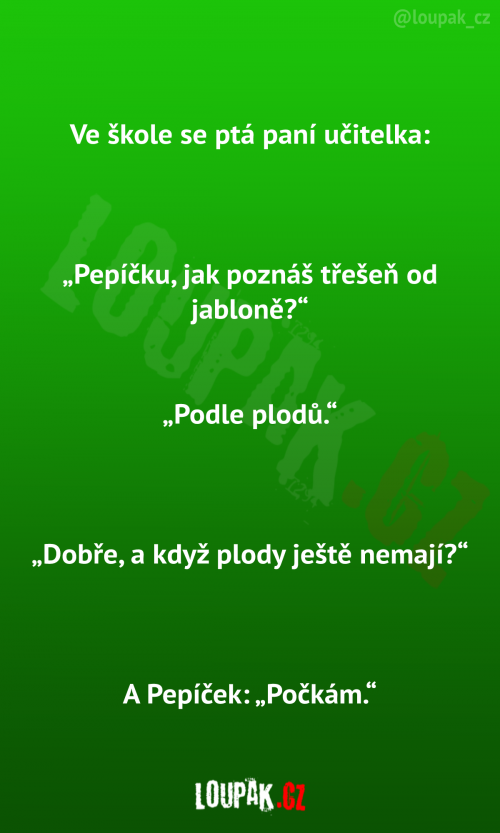 Ve škole se ptá paní učitelka