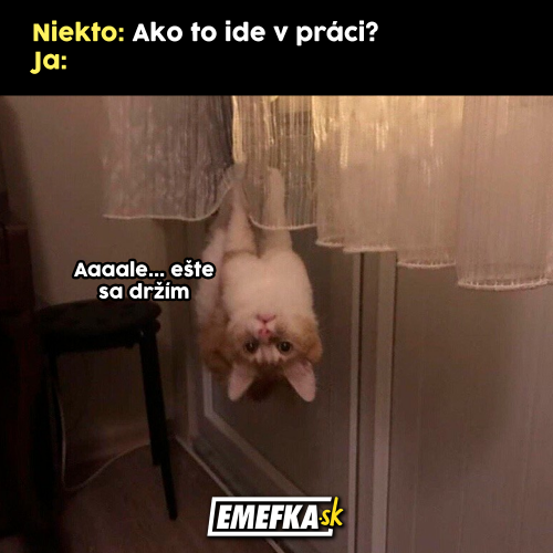  Asi je všechno v pořádku 