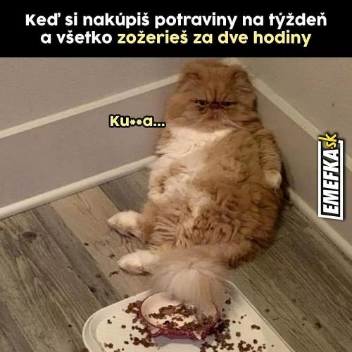 Zase to nevyšlo