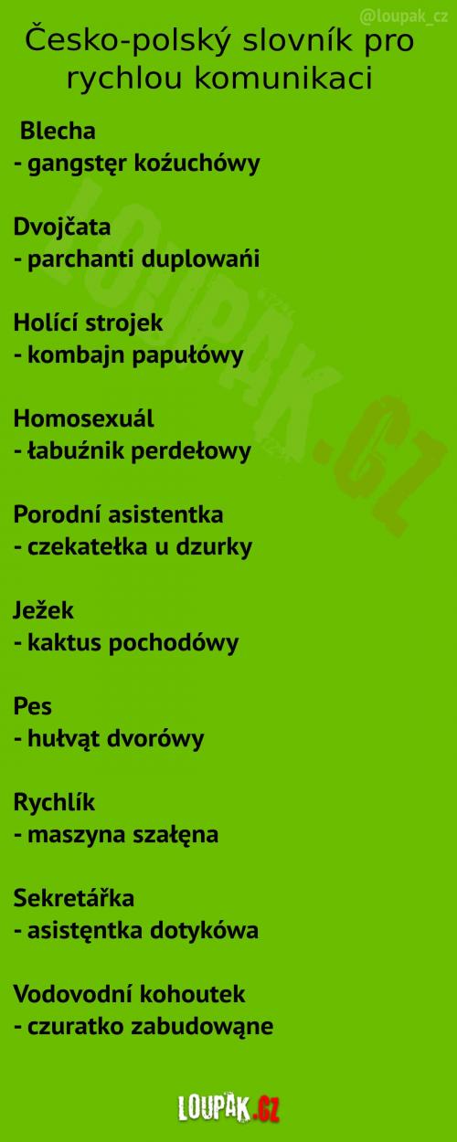  Krátký Česko-polský slovník. 
