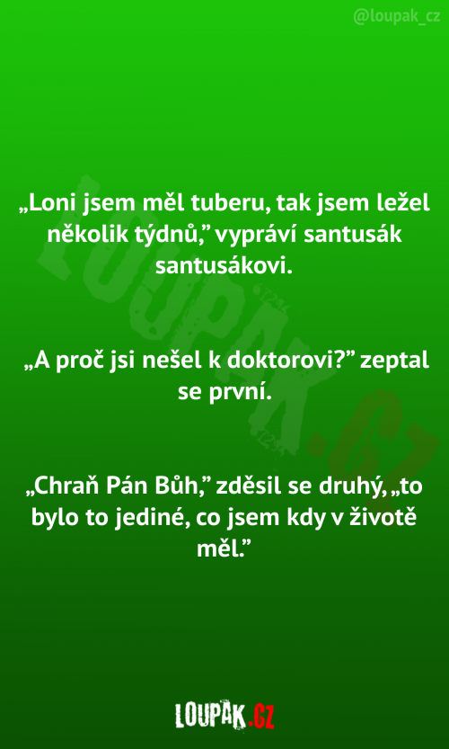  Loni jsem měl tuberu 