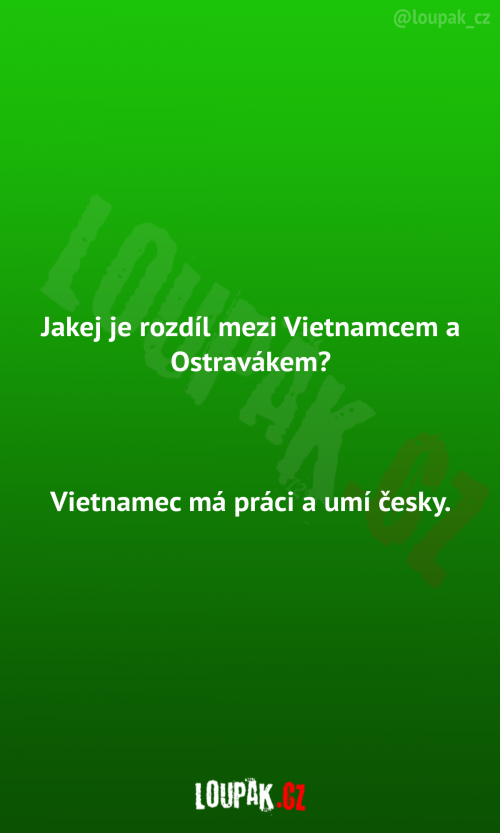  Rozdíl mezi Vietnamcem a Ostravákem 