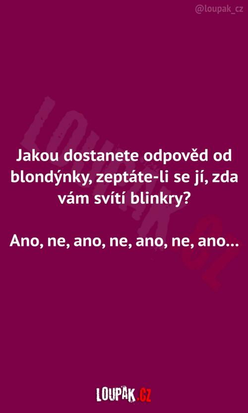  Když se blondýnky zeptáte na blinkry 