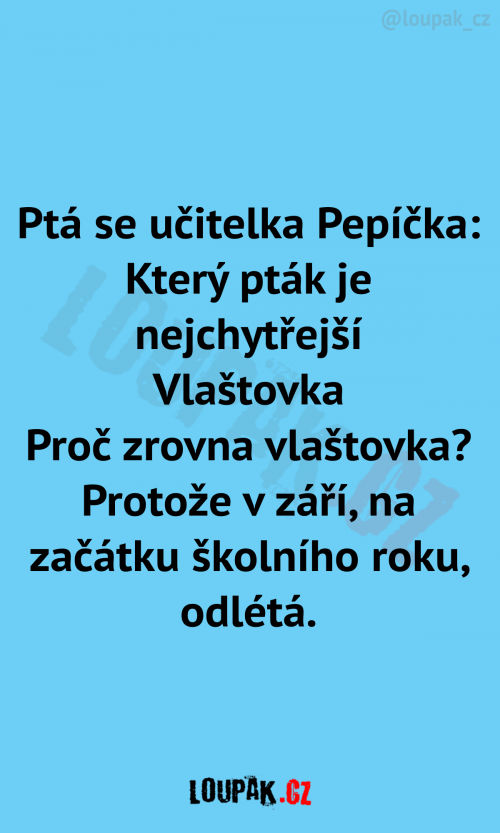  Ptá se učitelka Pepíčka: 