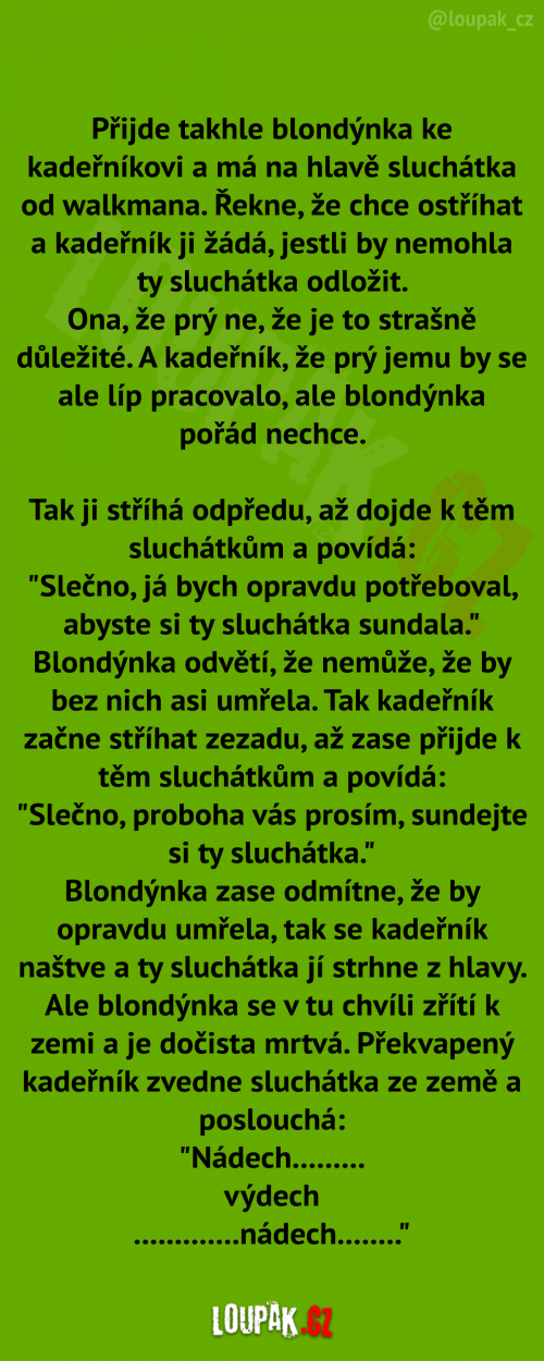  Blondýnka u kadeřníka 