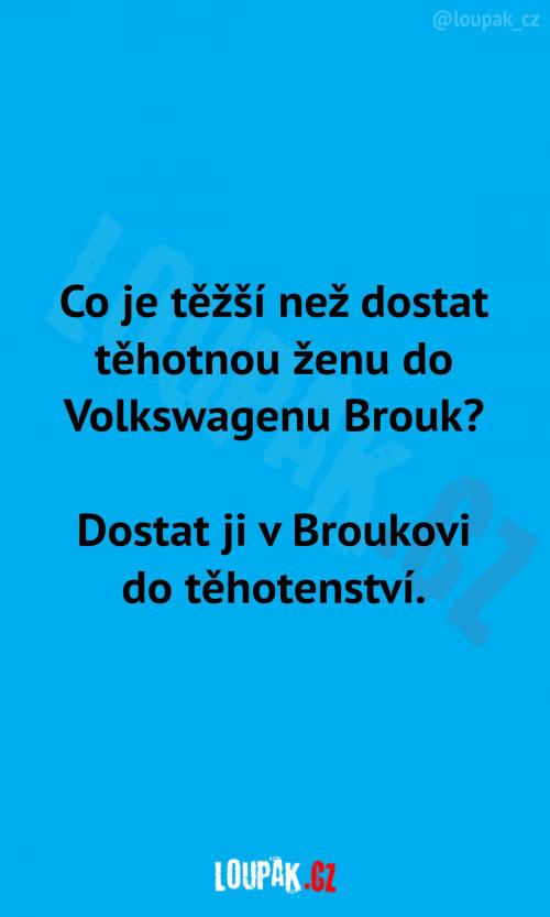  Těhotná žena a Volkswagen Brouk 