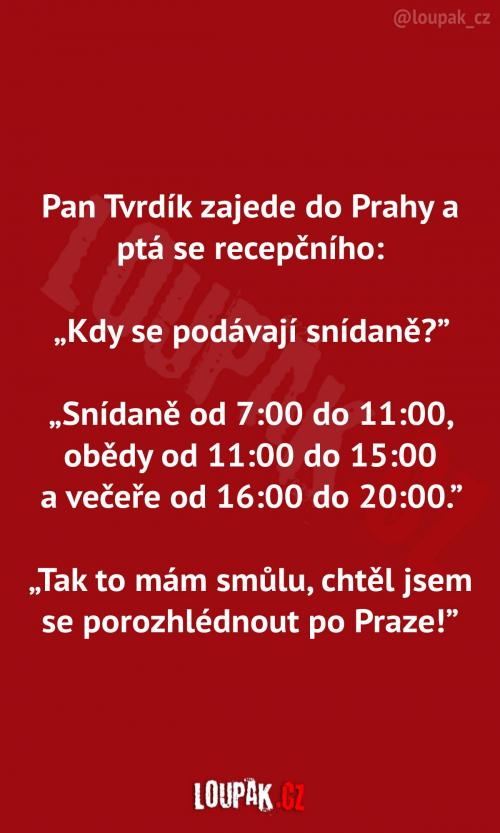  Pan Tvrdík na recepci  