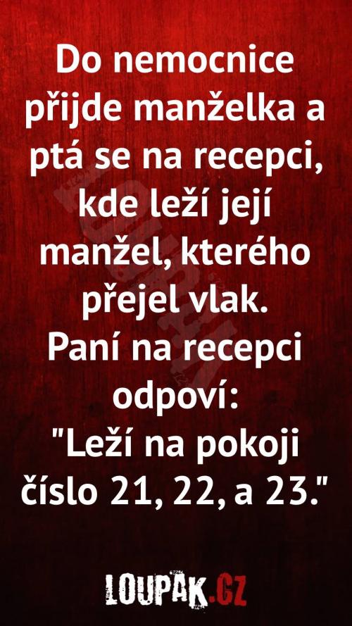  Manželka se ptá po manželovi... 