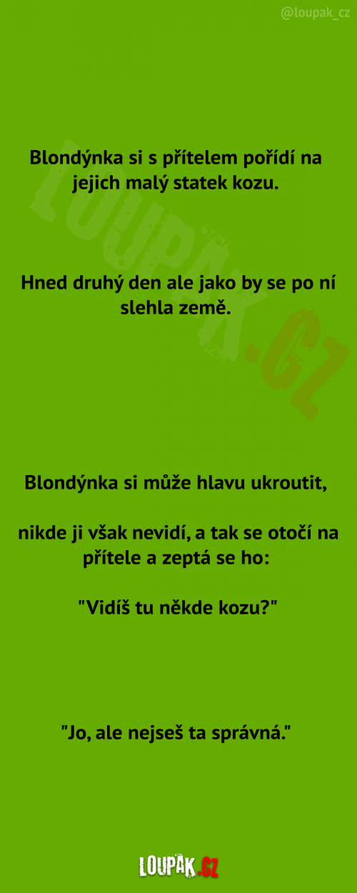  Blondýnka si pořídí kozu 