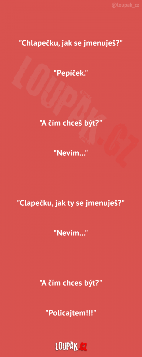  Chlapečku, čím chceš být? 