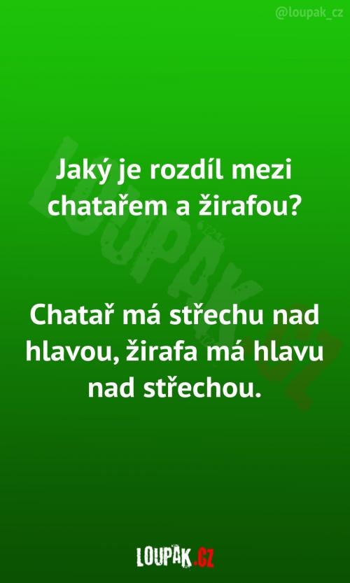  Rozdíl mezi chatařem a žirafou 