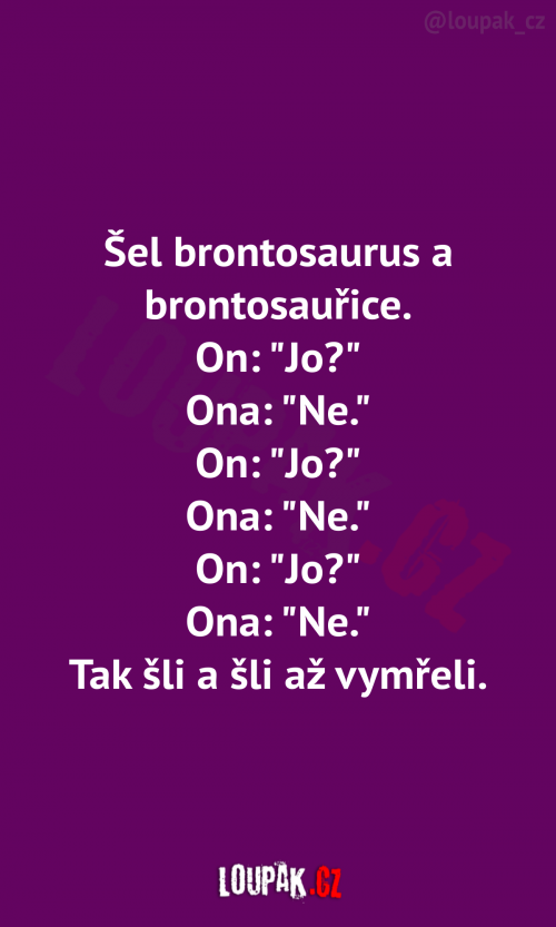  Šel brontosaurus a brontosauřice. 