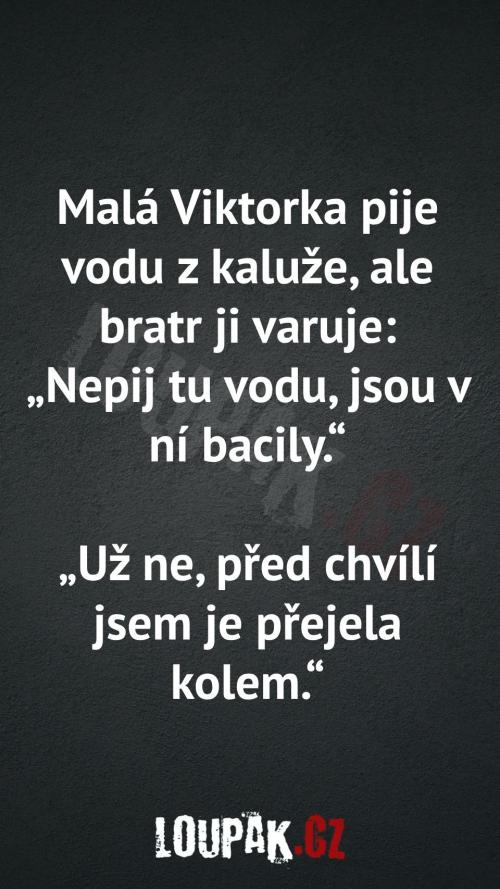  Jak si Viktorka poradila s bacily 