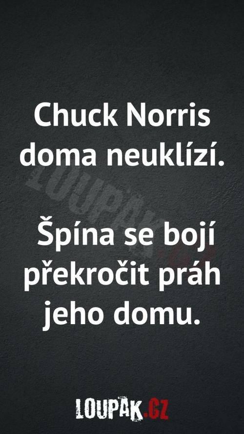  Proč Chuck Norris neuklízí 