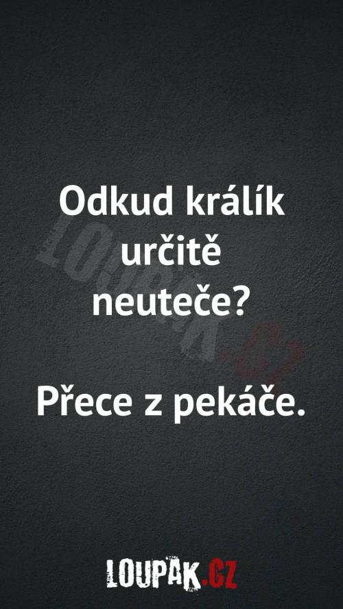  Odkud králík určitě neuteče 