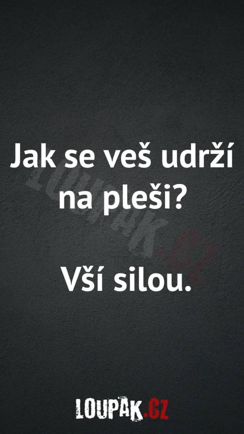  Jak se veš udrží na pleši 