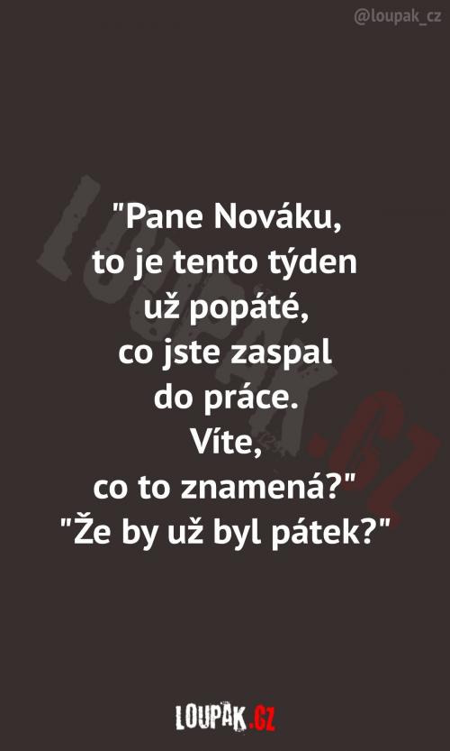  Pán Novák si s tím zřejmě nedělá těžkou hlavu 