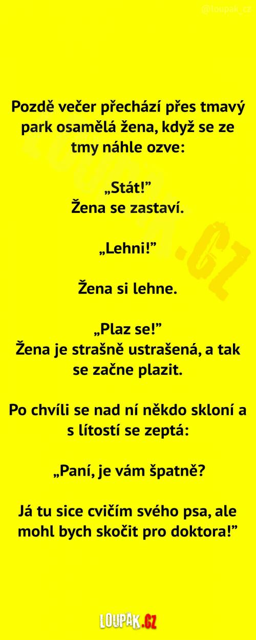  Osamělá žena v parku  