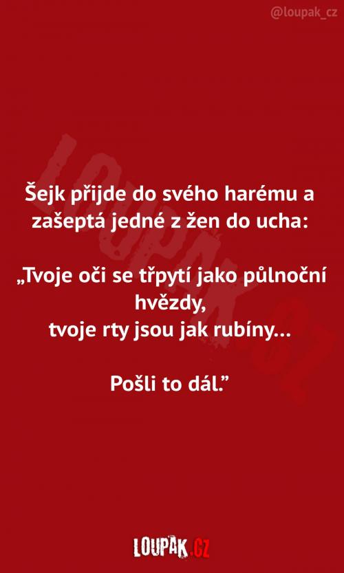 Fungování v harému  