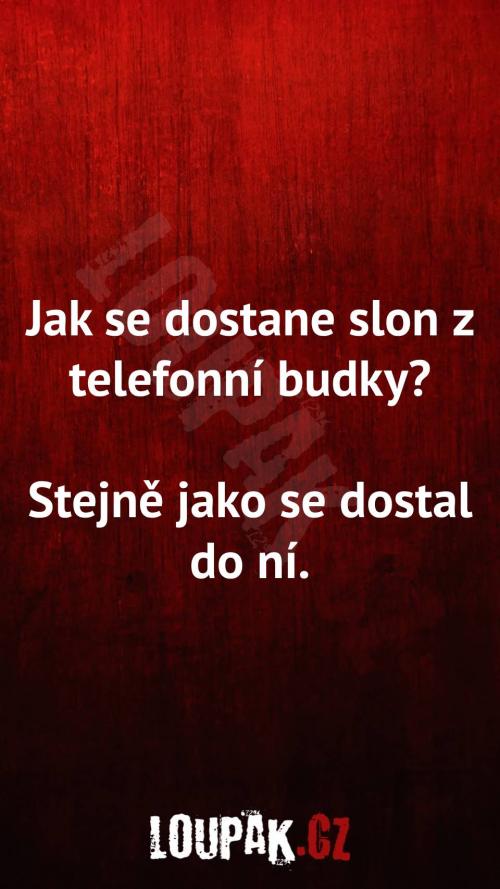  Jak se dostane slon z telefonní budky 