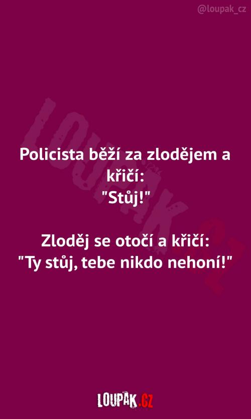  Policista vs. zloděj při honičce 