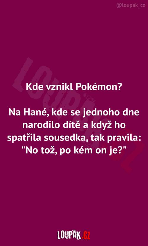  Proč Pokémoni vznikli na Hané 