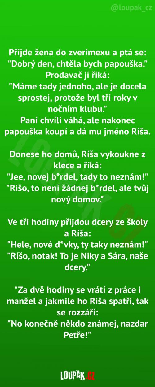  Ríša se snad rychle zabydlí 