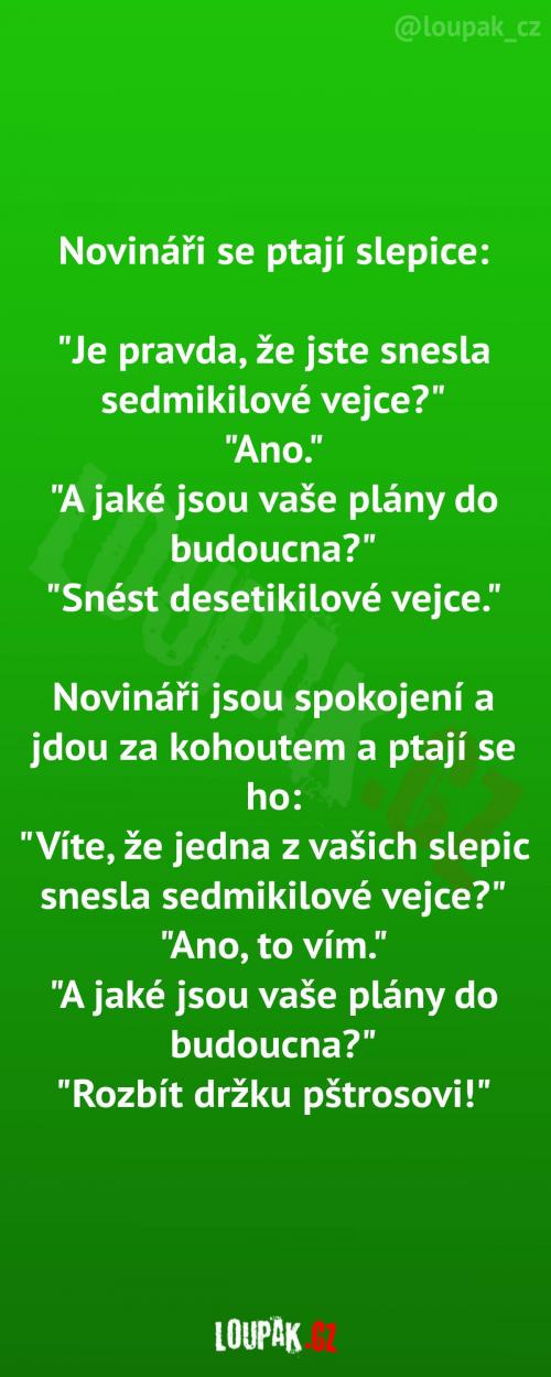  Jaké plány má slepice a kohout 