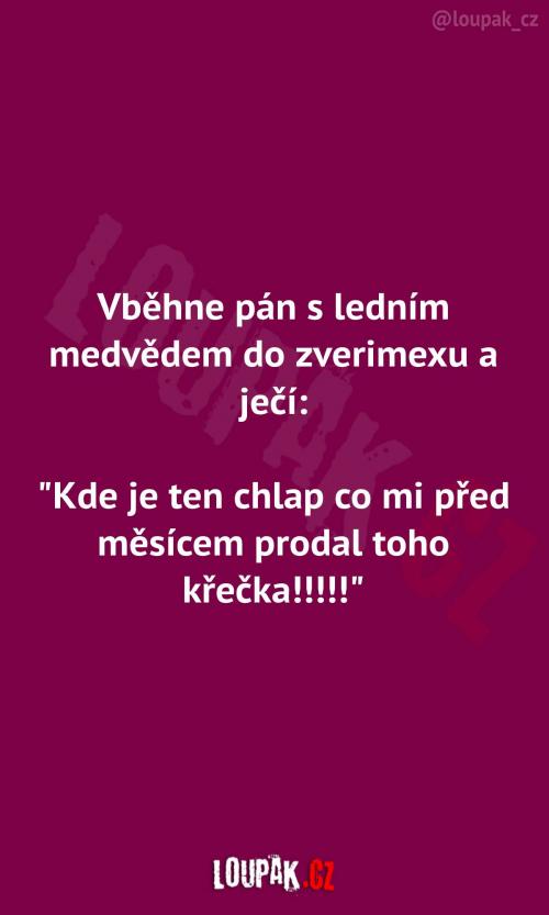  Pán s ledním medvědem ve zverimexu 