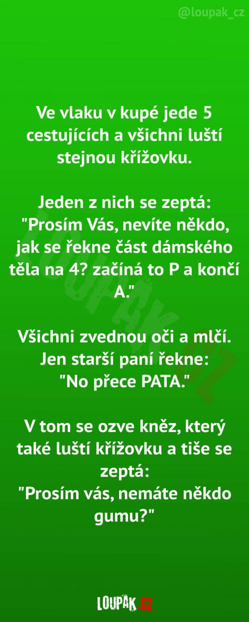 Cestující luští křížovku