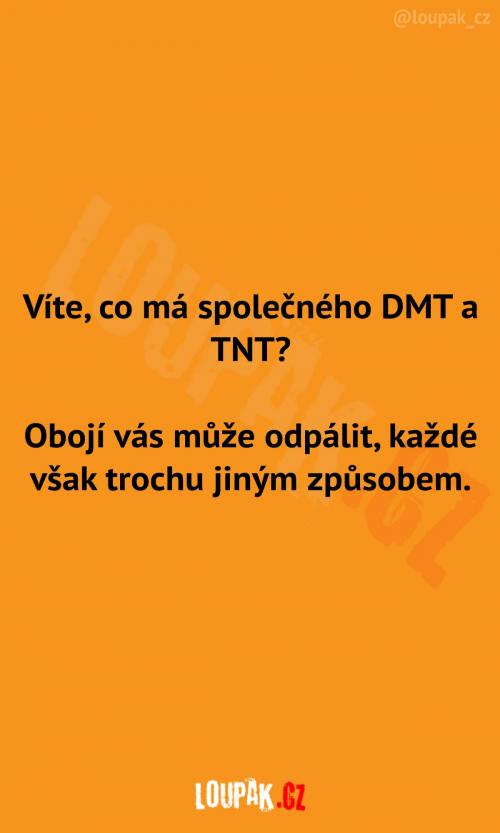  Co má společné DMT a TNT 