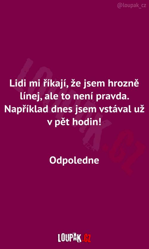  Není pravda, že jsem línej 