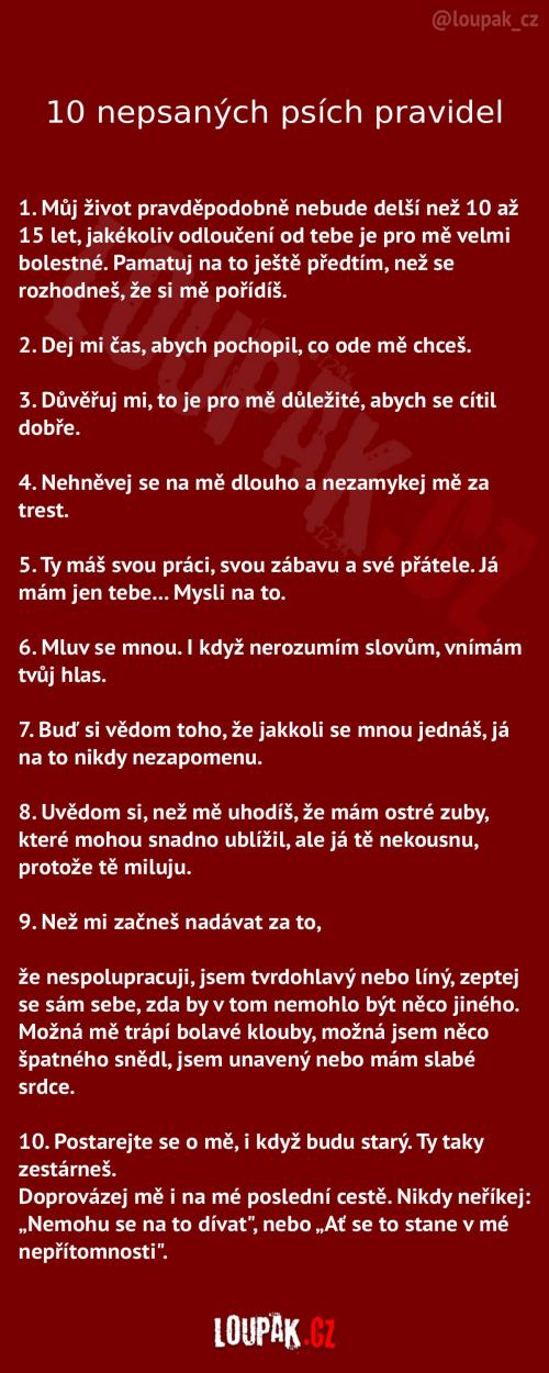 10 nepsaných psích pravidel