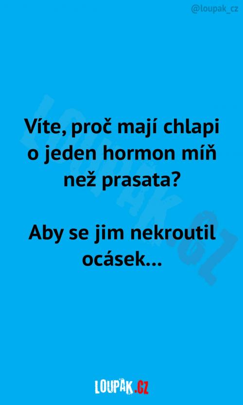 Ještě, že tohle chlapům chybí...
