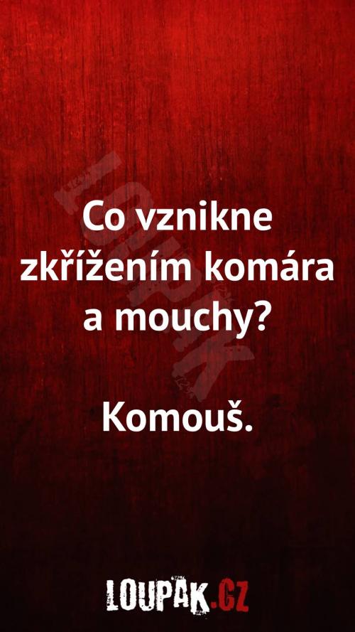 Co vznikne zkřížením komára a mouchy